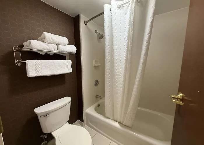 Hotel The Hotel, Surestay Collection By Western